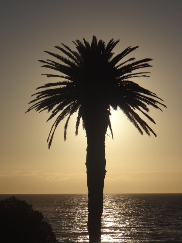 SUNSET III