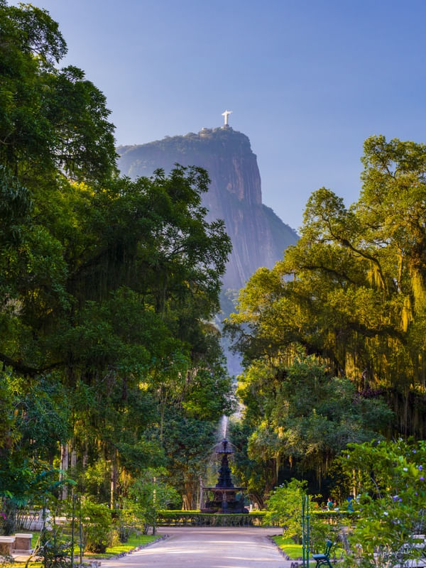 RIO DE JANEIRO BOTANICAL GARDEN