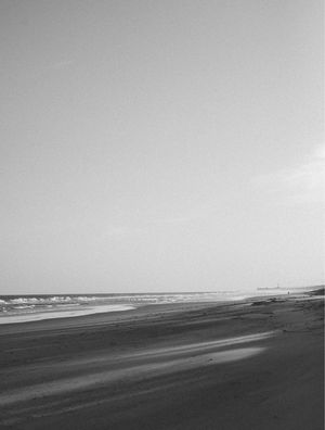 FRANCÊS BEACH 2