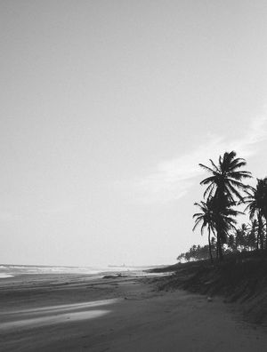 FRANCÊS BEACH 1