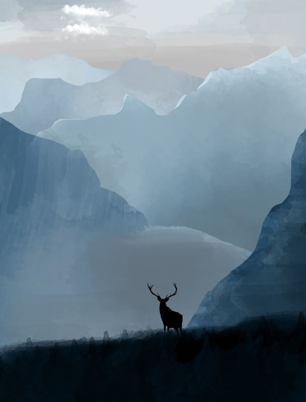 CALM PLACE