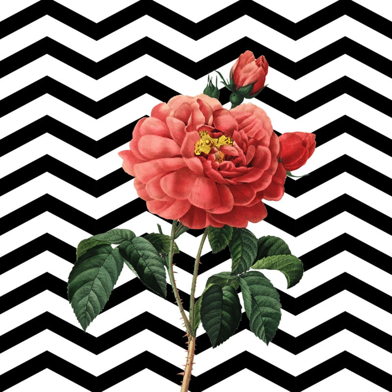 ZIG FLOWER ZAG