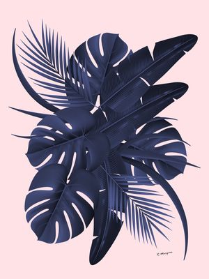 PLANT BLACK - ROSE