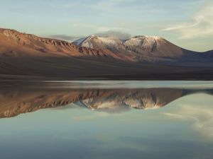 ATACAMA REFLEX