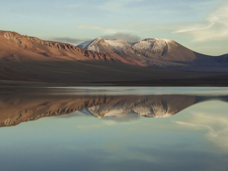 ATACAMA REFLEX
