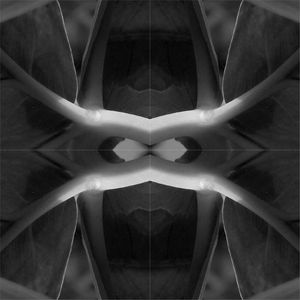 PEDAÇOS DE FOLHAS E GEOMETRIA 03
