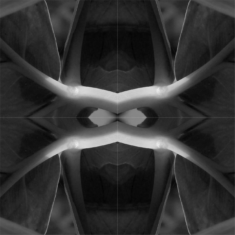 PEDAÇOS DE FOLHAS E GEOMETRIA 03