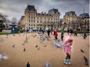 POMBOS DE NOTRE DAME