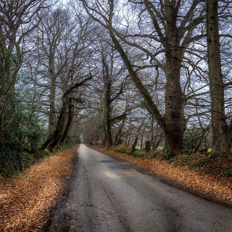 PERDIDO NA ESTRADA