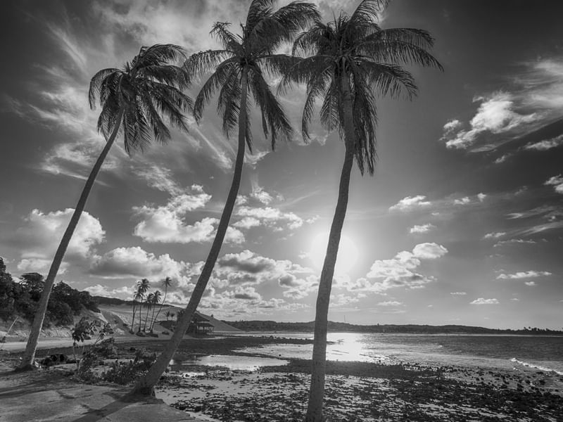 PRAIA DE SANTA RITA NIGRI