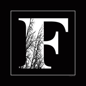 SM - LETRA F
