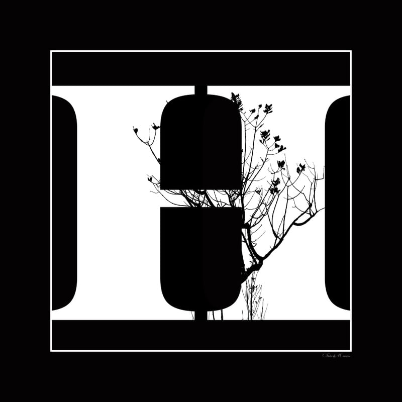 SM - LETRA H