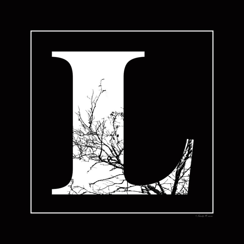 SM - LETRA L