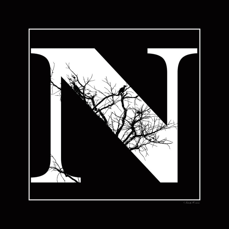 SM - LETRA N