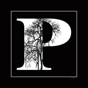 SM - LETRA P