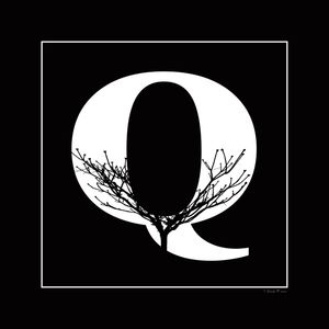 SM - LETRA Q