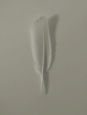 PENA BRANCA II