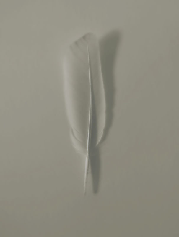 PENA BRANCA II