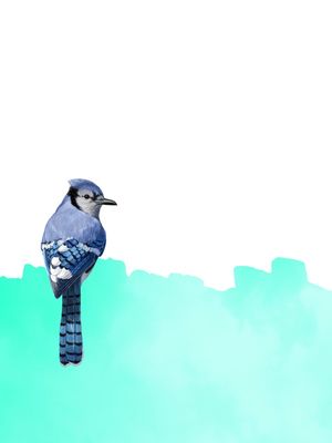 THE BIRD AND THE PAINTING