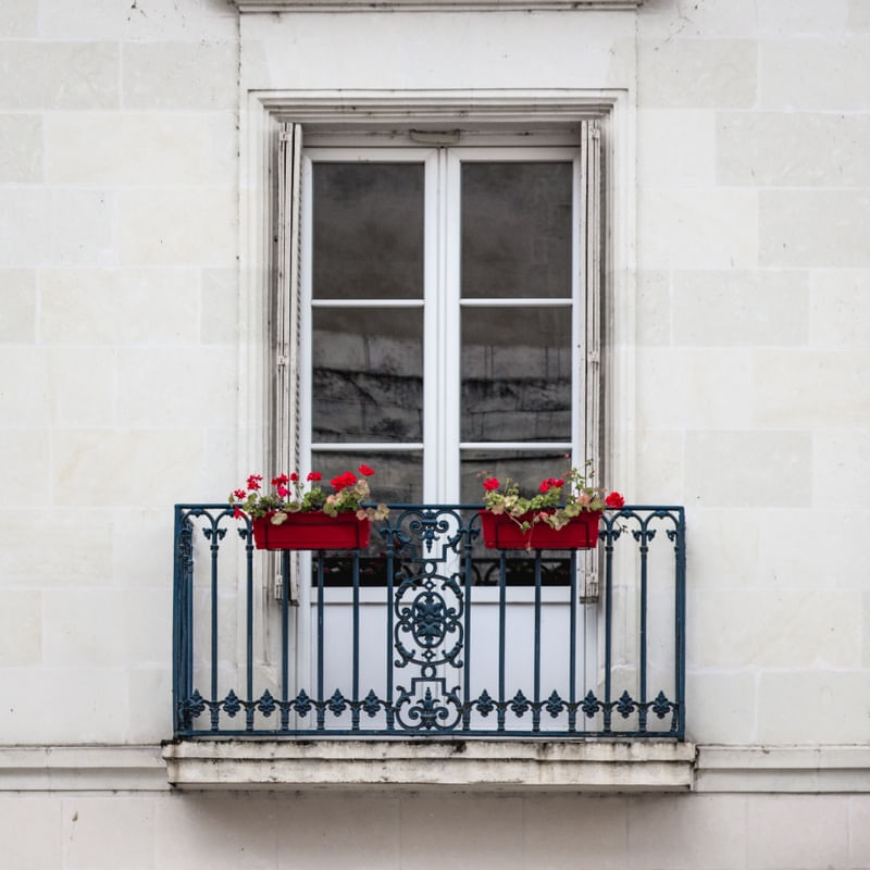 JANELA DE PARIS