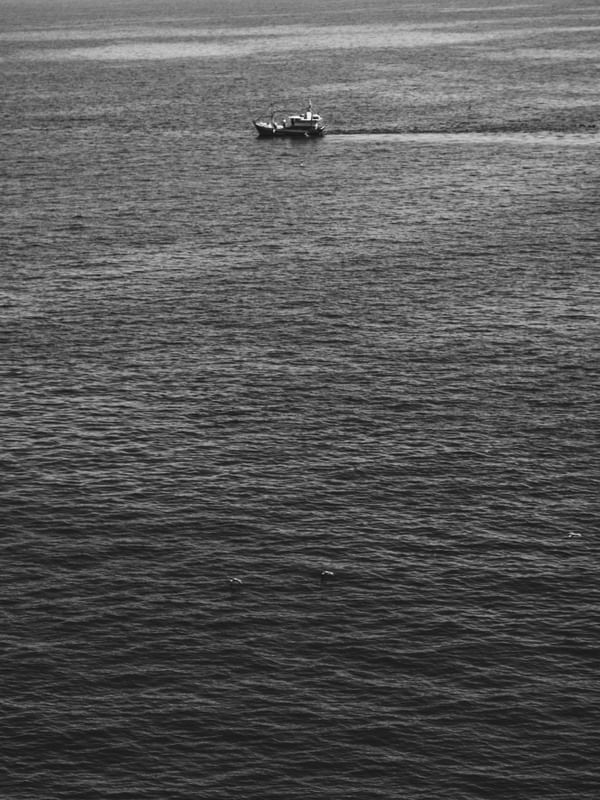 BARCO PB