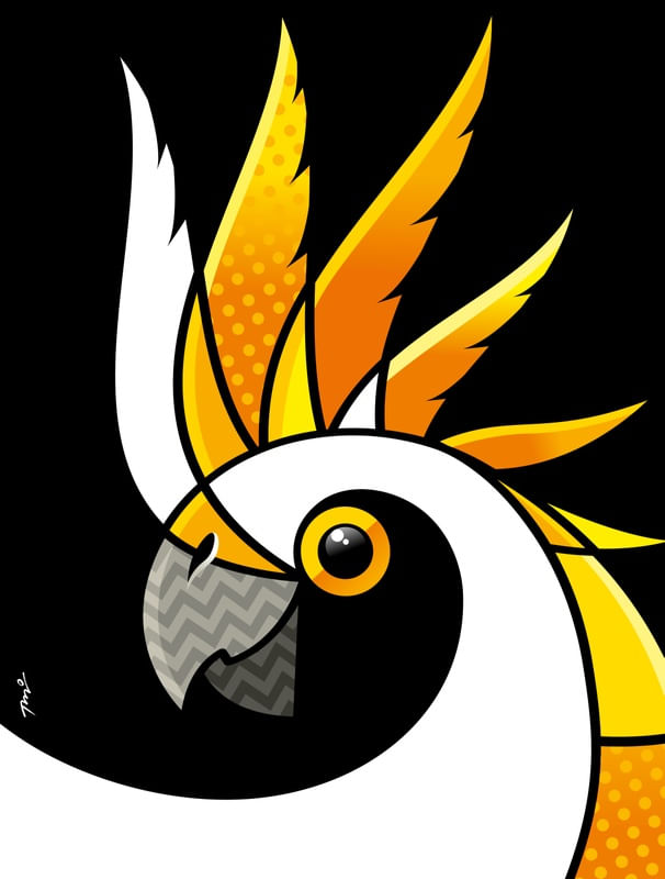 CACATUA