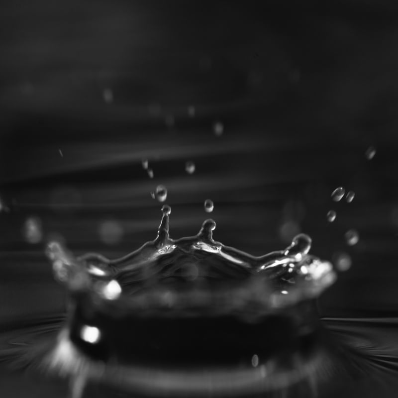 SPLASH B&W