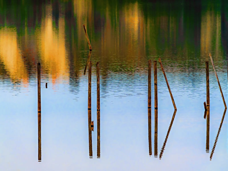 NATUREZA NO LAGO2