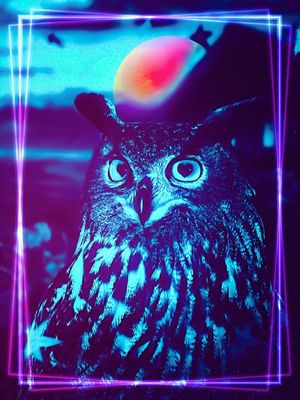 NEON LOVE