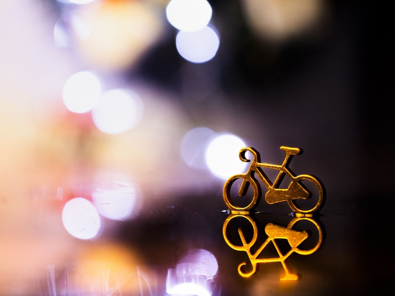 REFLEX BICYCLE