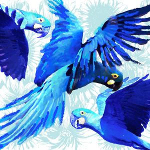 ARARA AZUL 02