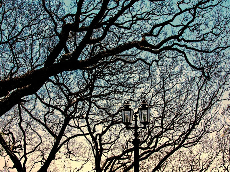 URBAN LIGHTS.