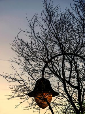 URBAN LIGHTS1