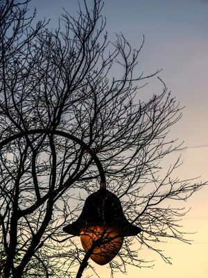 URBAN LIGHTS 2