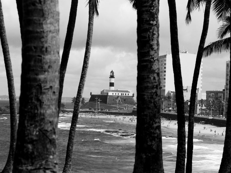 FAROL DA BARRA E COQUEIROS P/B