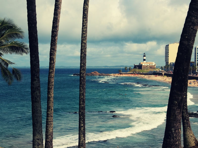 FAROL DA BARRA, MAR E COQUEIROS