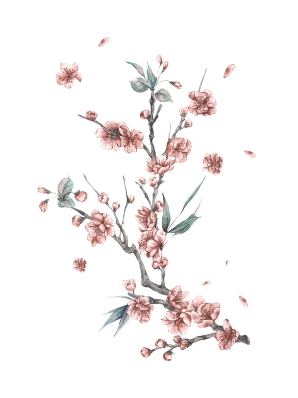 CHERRY BLOSSOM