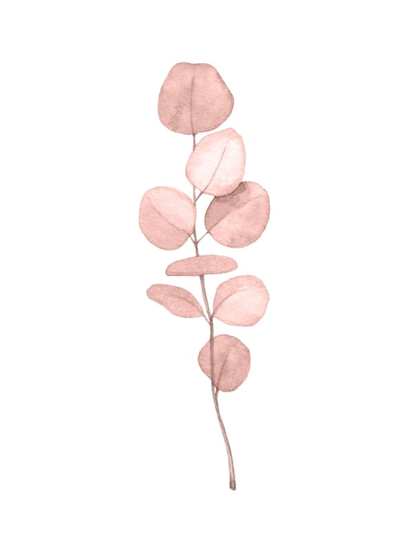 ROSE NATURE