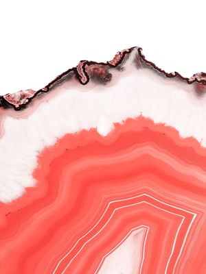 LIVING CORAL AGATE SLICE