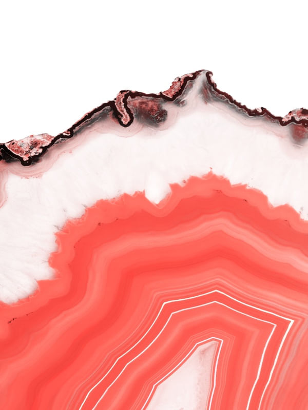 LIVING CORAL AGATE SLICE