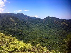 PAISAGEM VERDE E CÉU AZUL III