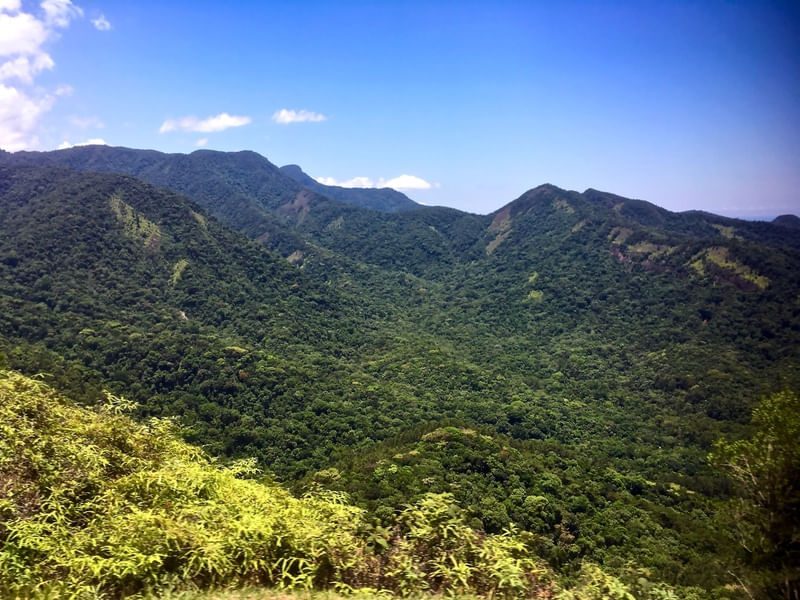 PAISAGEM VERDE E CÉU AZUL III