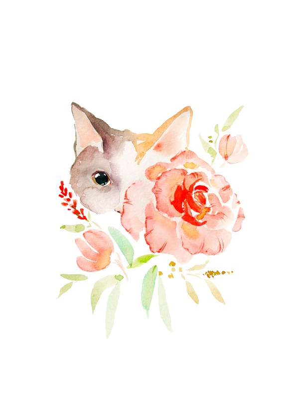 GATO FLOR