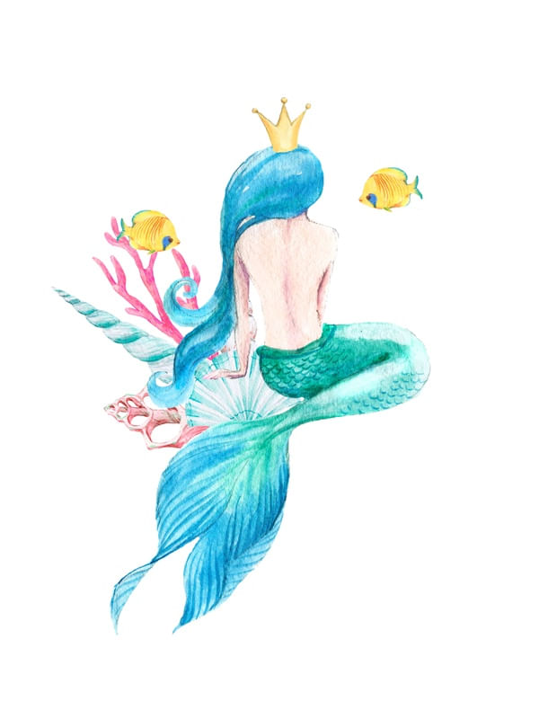 SEREIA DE COSTAS