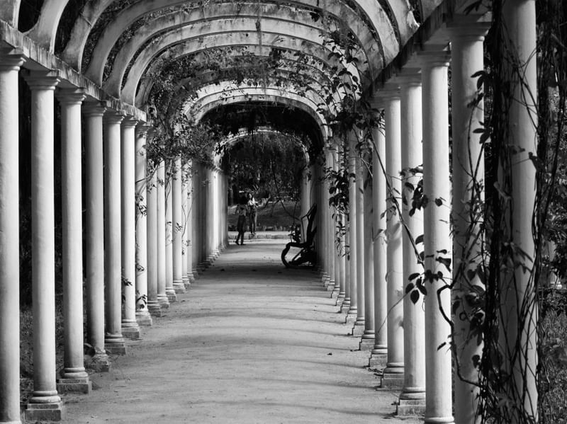 JARDIM BOTÂNICO I