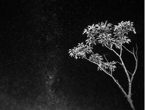 CÉU NOTURNO