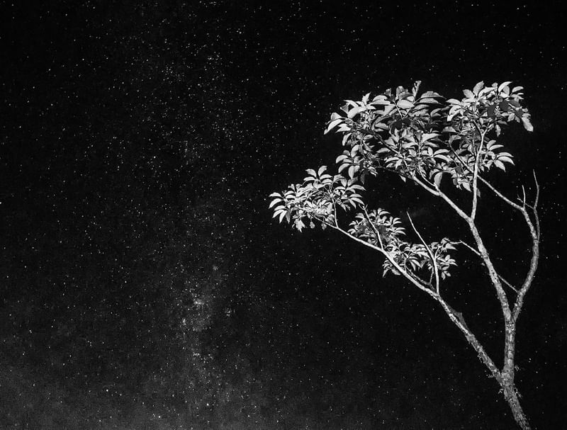 CÉU NOTURNO