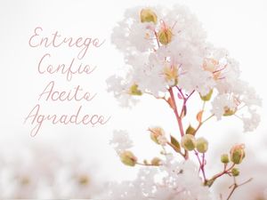 ENTREGO CONFIO ACEITO AGRADEÇO