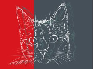 CAT BY CAT
