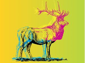 CMYK MOOSE